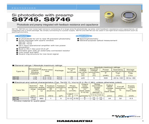 S8745.pdf