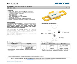 NPT2020.pdf