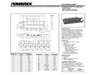 PM100RLA060.pdf