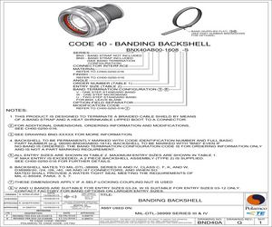 BND40AC00-1003A.pdf