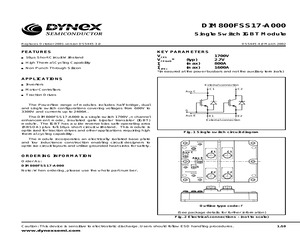 DIM800FSS17-A000.pdf