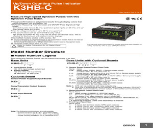 K3HB-CNB 100-240VAC.pdf