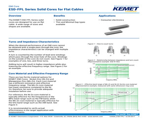 ESD-FPL-20-15.pdf