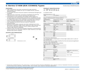 C1608CH1H120JT.pdf