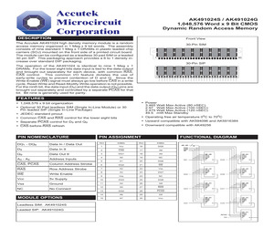 AK491024S-60.pdf
