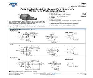 P13LFL103MAB10.pdf