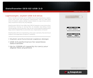 DTSE8/64GB.pdf