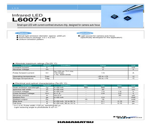 L6007-01.pdf