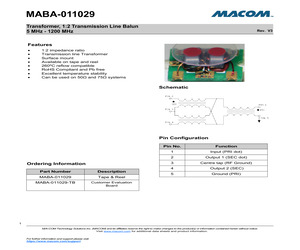 MABA-011029.pdf