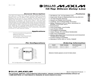 DS1110E-250+.pdf