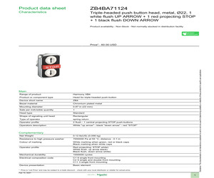 ZB4BA71124.pdf