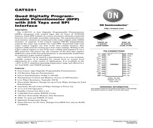 CAT5251WI-00-T1.pdf