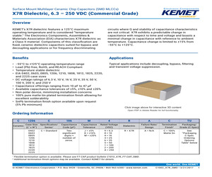 C0402C102K5RAC7867.pdf