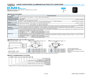 ELXR100LGN184MCC0M.pdf