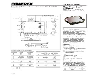 CM1000DU-34NF.pdf