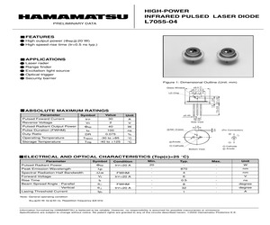 L7055-04.pdf