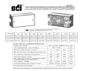 POT100-02.pdf