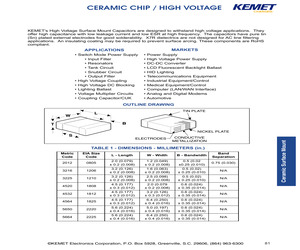 C1206C222KDRAC7800.pdf