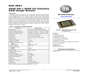 KAI-4021-AAA-CR-BA.pdf