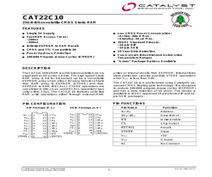 CAT22C10L-20.pdf