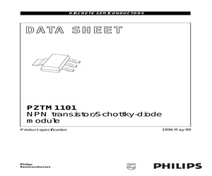 PZTM1101,135.pdf