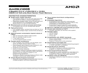 AM29LV400BB-70WAC.pdf