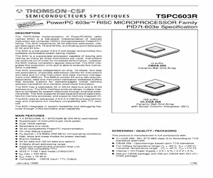 TS(X)PC603RMGS10L(C).pdf