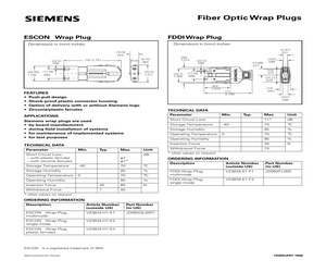 ESCON WRAP PLUG.pdf