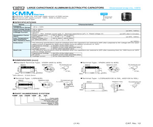 160VSSN330M22A.pdf