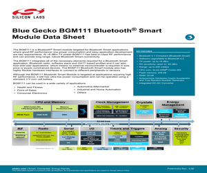 BGM111-A-256-V1-R.pdf