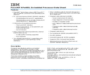 IBM25NPE405L-3FA266CZ.pdf