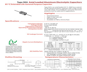 SKA220M050.pdf