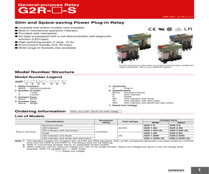 G2R-1-SD DC24(S).pdf