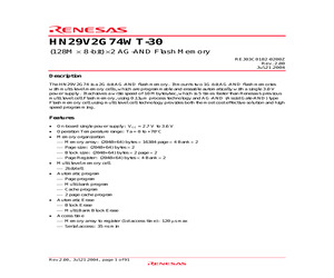 HN29V2G74WT-30.pdf