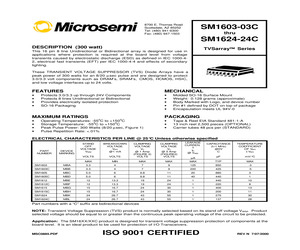 SM1603TR13.pdf