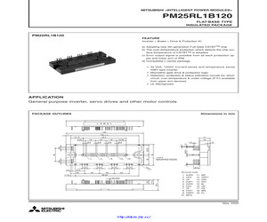 PM25RL1B120.pdf