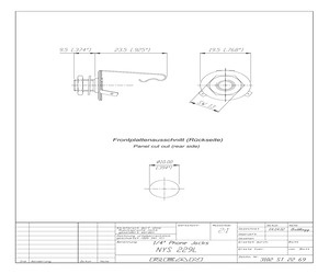 NYS229L.pdf