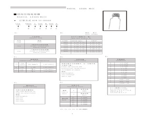 CC40805B223S101F3.pdf