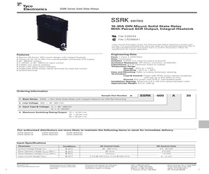 SSRK-600D20 (6-1393030-7).pdf