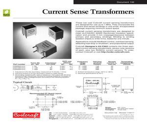 CS4100V-01L.pdf