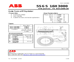 5SGS16H3000.pdf