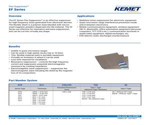 EFA(03)-240X240.pdf