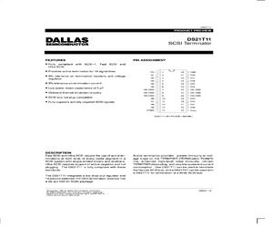 DS21T11.pdf