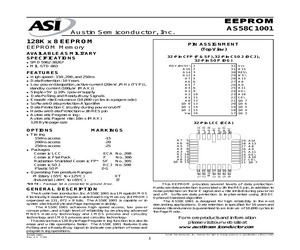 AS58C1001DG-20/IT.pdf