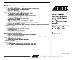 ATMEGA162.pdf