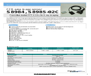 S8985-02C.pdf