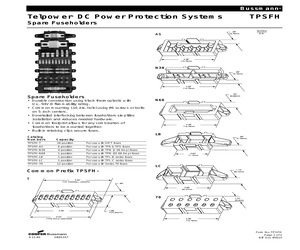 TPSFH-N60.pdf