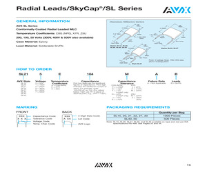 SL211A102DAB.pdf