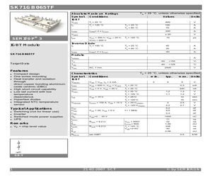 SK71GB065TF.pdf