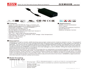 GSM60B07-P1J.pdf